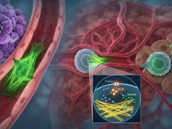 More than 90% of cancer deaths come from metastasis. A new study found that the act of spreading trains cancer cells to spread better, and identified a druggable target at the center of the process