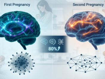 Researchers scanned 110 women before and after pregnancy and found that a second pregnancy completely rewires different brain networks than the first one did